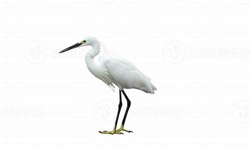 Egret 源码游戏